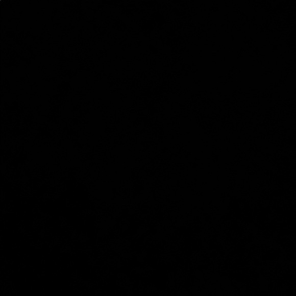 Meet your Posher, Jaya - Picture 1 of 1